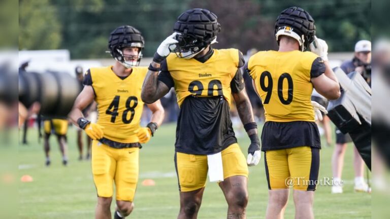 DeMarvin Leal Placed On IR Steelers Make Flurry Of Roster Moves