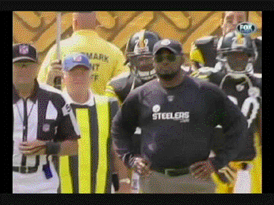 Mike Tomlin cool timeout versus Falcons