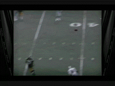 Immaculate Reception animated gif