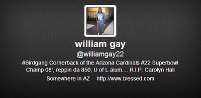 William Gay Cardinals Steelers