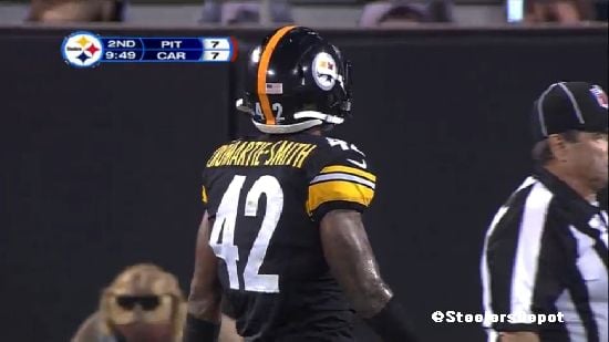 SteelersPanthers8