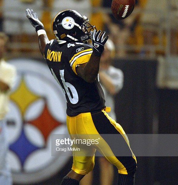 One Hit Wonders: Does Anyone Remember Dante Brown? - Steelers Depot