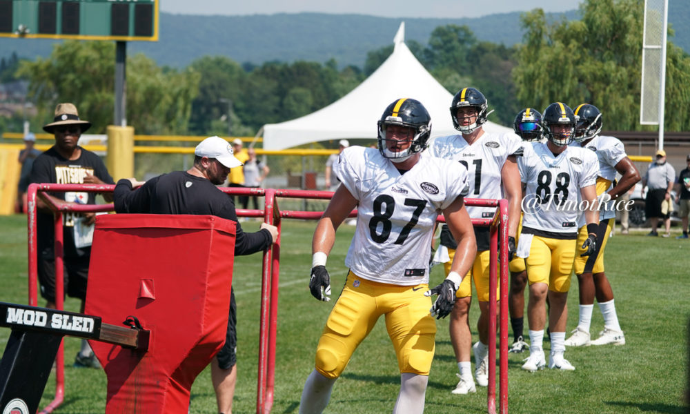 Steelers Week 10 Protected Practice Squad Player List Includes TE Kevin