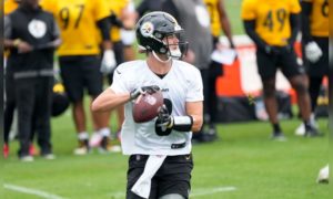 Duck's Dynasty? Backup Hodges leads Steelers by Browns 20-13, Olean