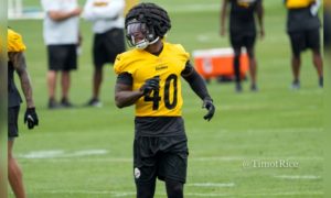 90 In 30: Steelers 2022 Training Camp Preview Series: Nick Sciba, Delontae  Scott, Trent Scott