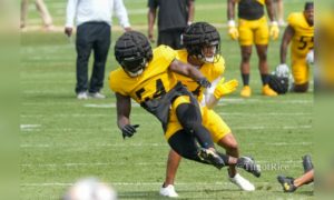 2022 Stock Watch - ILB Robert Spillane - Stock Up - Steelers Depot