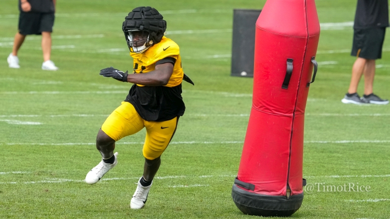 Steelers Place OLB T.D. Moultry On Injured Reserve