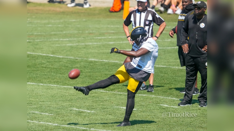 Pressley Harvin Ranked As One Of League's Worst Punters - Steelers Depot