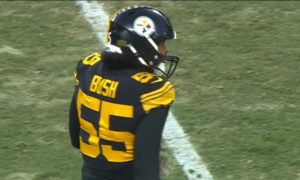 Seattle Seahawks sign former Pittsburgh Steelers LB Devin Bush to one-year  deal - On3