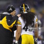 Dick LeBeau Troy Polamalu