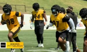 Steelers defensive end Heyward Leal