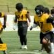 Steelers defensive end Heyward Leal