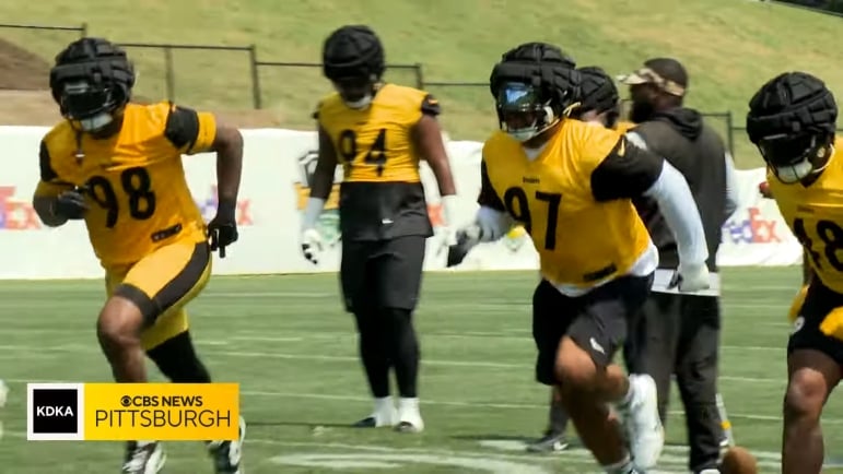 Steelers defensive end Heyward Leal