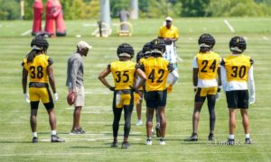 Positional Grades: Steelers vs. Bengals - Steelers Depot