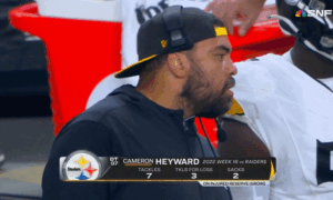 Ray Lewis Believes Jerome Bettis Belongs In Canton - Steelers Depot