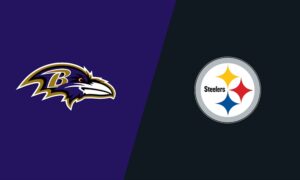 2023 Stock Watch - P Brad Wing - Stock Up - Steelers Depot