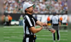 Land Clark Steelers Referee Browns