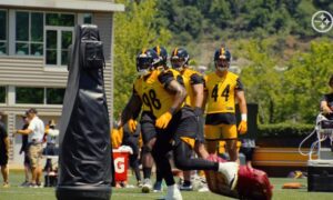 DeMarvin Leal Pittsburgh Steelers