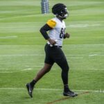 Darnell Washington Pittsburgh Steelers training camp