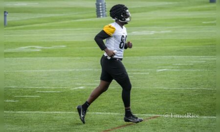 Darnell Washington Pittsburgh Steelers training camp