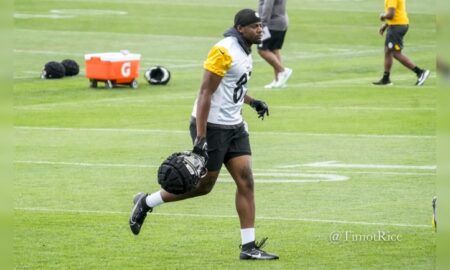 Rodney Williams Pittsburgh Steelers training camp