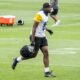 Rodney Williams Pittsburgh Steelers training camp