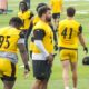 Cameron Heyward Keeanu Benton Payton Wilson Pittsburgh Steelers training camp