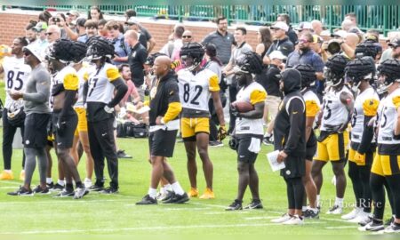 Dez Fitzpatrick Ryan Shazier Pittsburgh Steelers training camp