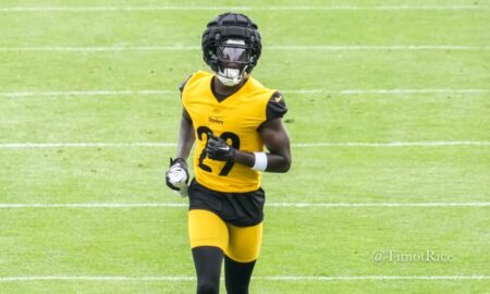 Ryan Watts Pittsburgh Steelers training camp