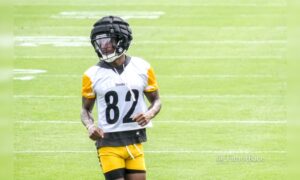 Dez Fitzpatrick Pittsburgh Steelers training camp