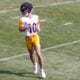 Roman Wilson 2024 Steelers Training Camp Debut