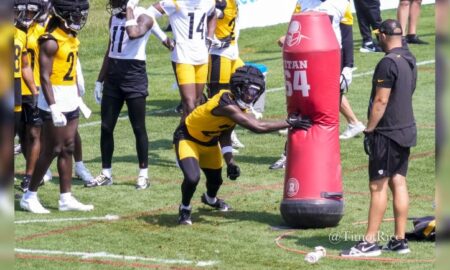 Ryan Watts Pittsburgh Steelers Training Camp