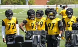 Steelers DL