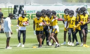 defensive backs Steelers 2024 Training Camp