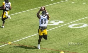 Darnell Washington Steelers training camp