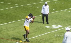 Rodney Williams Steelers