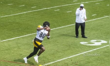 Darnell Washington Steelers training camp