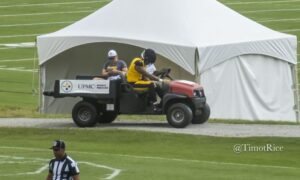 David Perales injury Steelers training camp