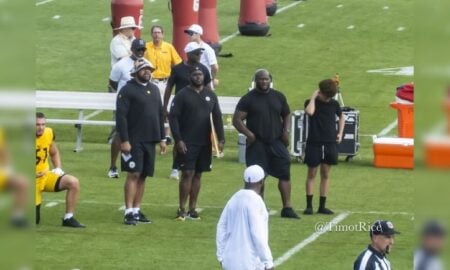 Cameron Heyward Vince Williams James Harrison Steelers training camp