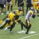 Patrick Queen Justin Fields Steelers training camp