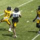 Duece Watts Grayland Arnold interception Cory Trice Jr. Steelers training camp