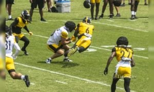 Patrick Queen Steelers training camp