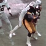 Lynn Swann George Atkinson