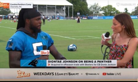 Diontae Johnson Panthers Ravens