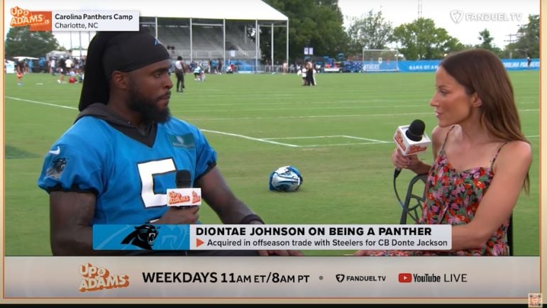 Diontae Johnson Panthers Ravens