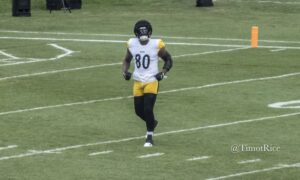 Darnell Washington Steelers training camp