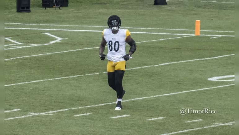 Darnell Washington Steelers training camp