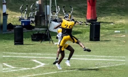 DeShon Elliott Steelers training camp