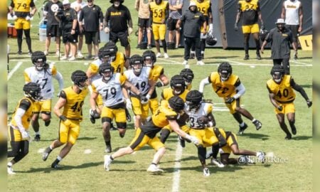 Jonathan Ward Tyler Matakevich Steelers training camp