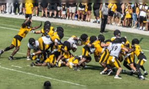 Ryan Watts interception Steelers training camp